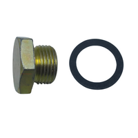 HOLDEN COMMODORE V8 SALISBURY DIFF FILLER  PLUG AND WASHER VB VC VH AND VK 3/4 X 16