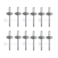 COMMODORE WINDOW REGULATOR POP RIVETS X 12 VN VG VQ VP VR VS
