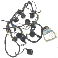WB STATESMAN HOLDEN TAILLIGHT WIRING HARNESS WITH LAMP FAIL UNIT CAPRICE DEVILLE