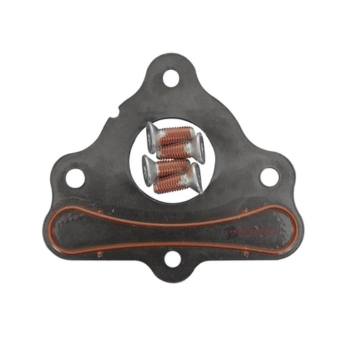 HOLDEN CHEVROLET LS1 5.7 CAMSHAFT RETAINING THRUST PLATE KIT VT - VZ WH - WL
