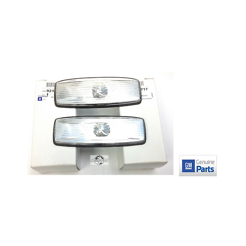 HOLDEN STATESMAN WK WL GUARD INDICATORS GENUINE HOLDEN NOS
