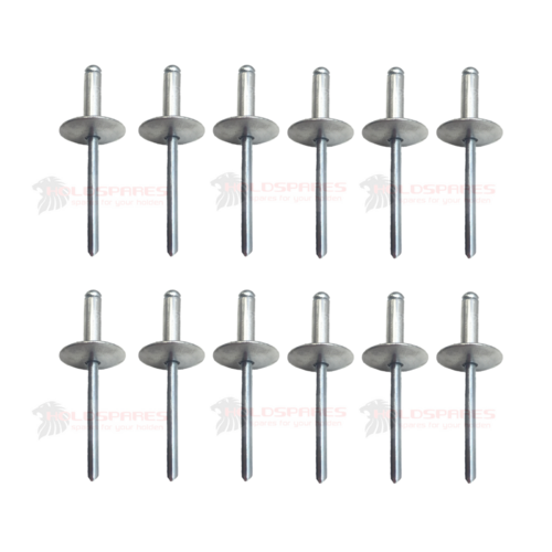 COMMODORE WINDOW REGULATOR POP RIVETS X 12 VN VG VQ VP VR VS